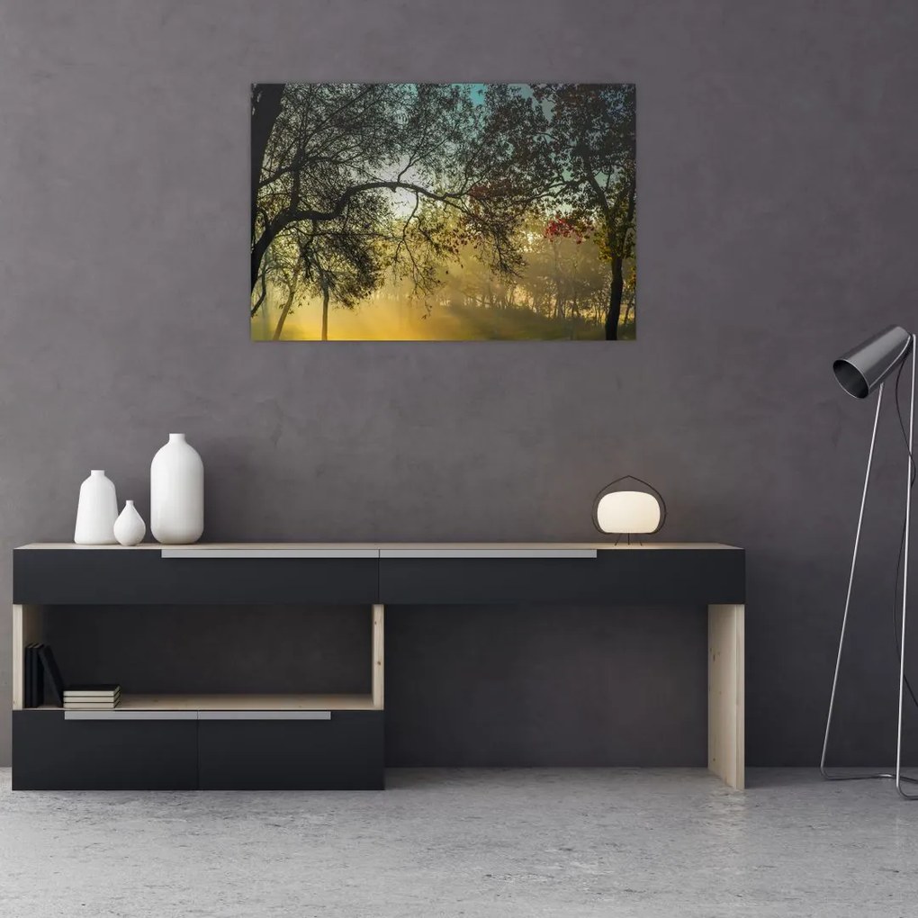 Tablou cu răsărit de soare (90x60 cm)