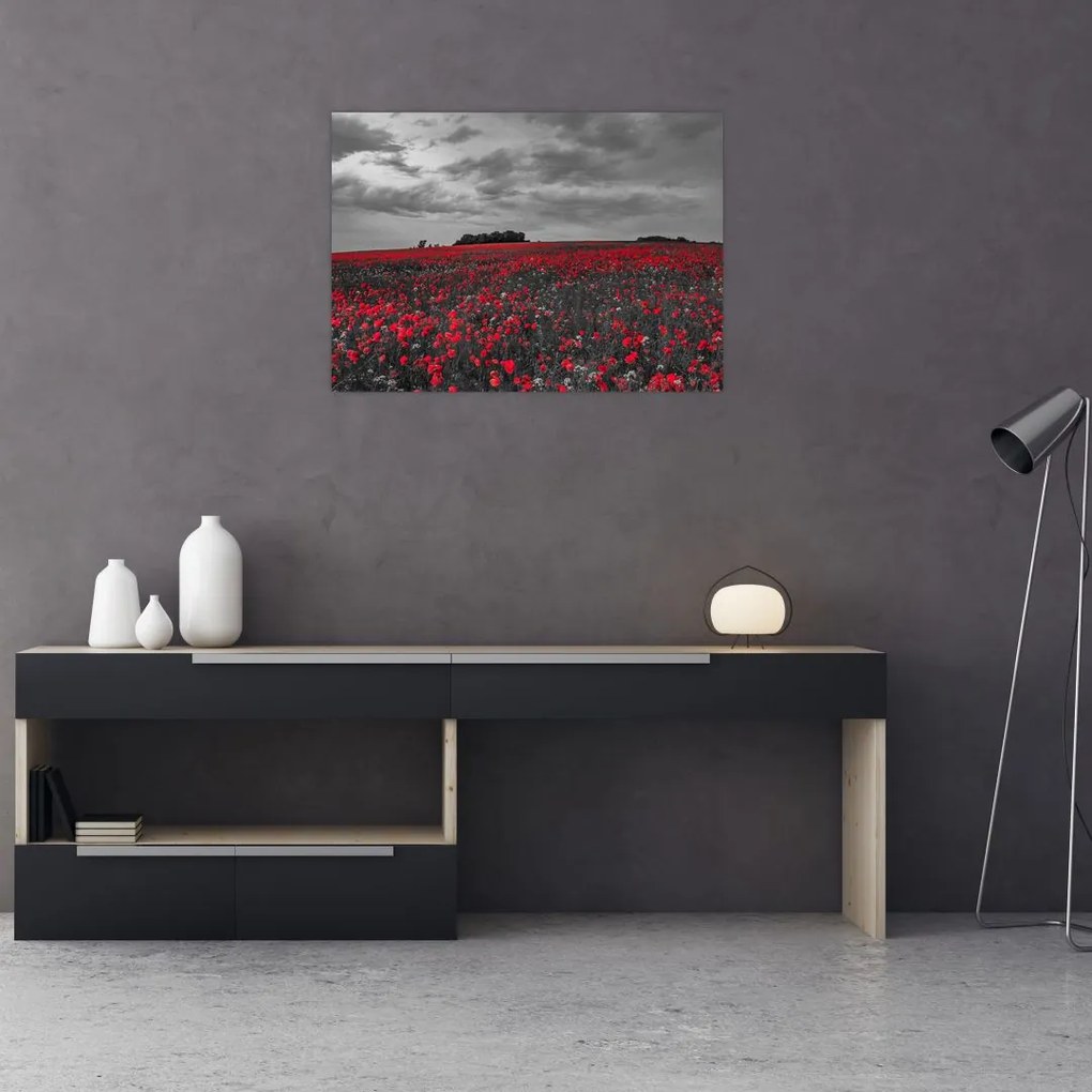 Tablou pe sticlă cu maci (70x50 cm)