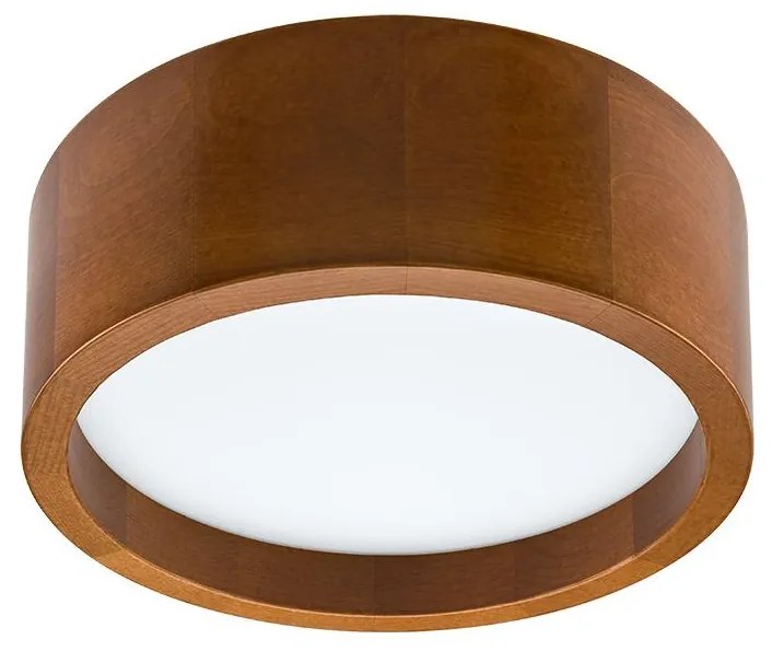 Plafonieră LED LED/21W/230V