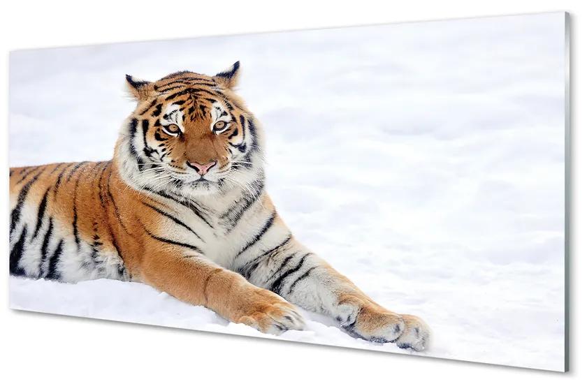 Tablouri acrilice Tiger de iarnă