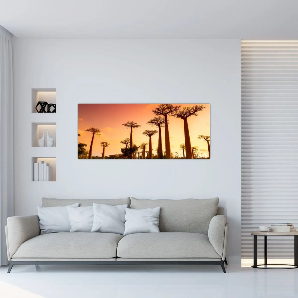 Tablou - Apus de soare pe Aleea Baobabilor (120x50 cm)