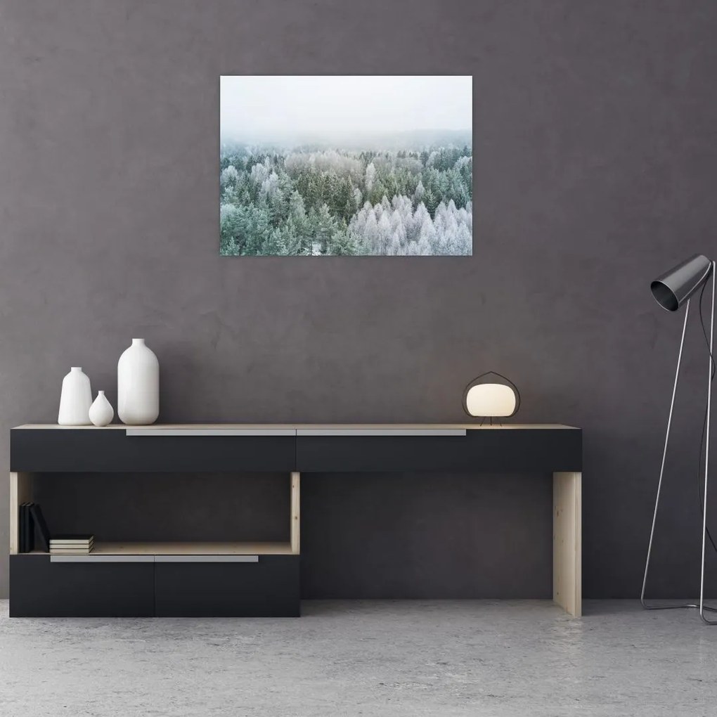 Tablou pe sticlă - Crestele munțillor înzăpezite (70x50 cm)