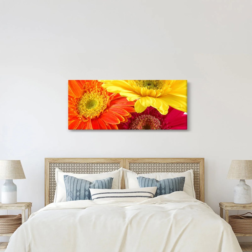 Tablou - Flori Gerbery (120x50 cm)