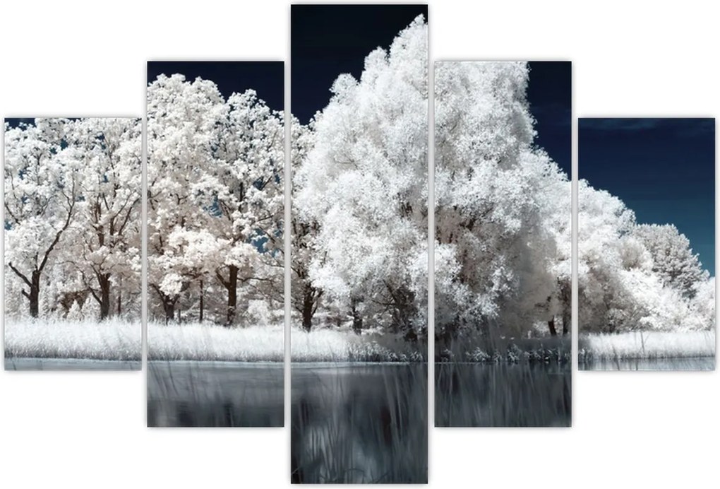 Tablou - Albă ca Zăpada Albă ca Zăpada Copaci (150x105 cm)