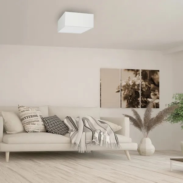 Plafonieră ALBION 2xE27/60W/230V