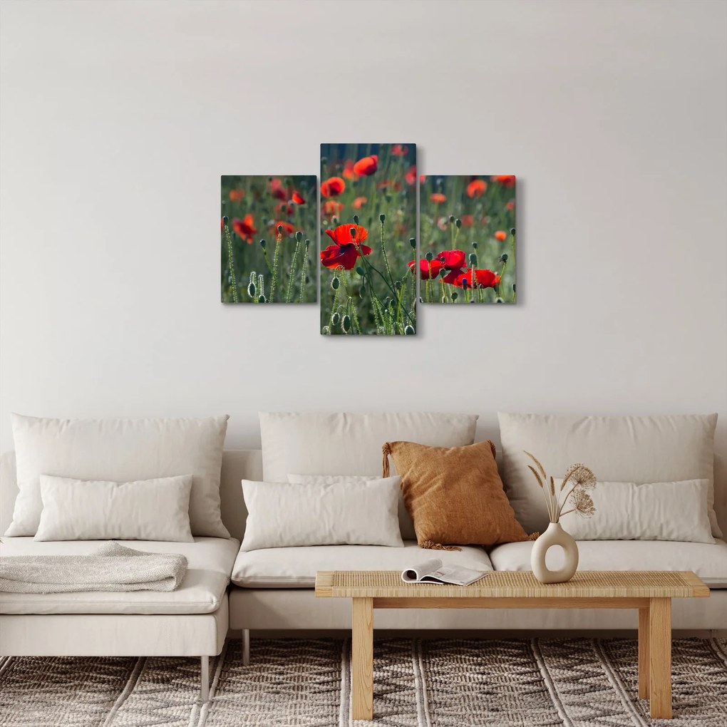 Tablou - Lunca cu maci (90x60 cm)