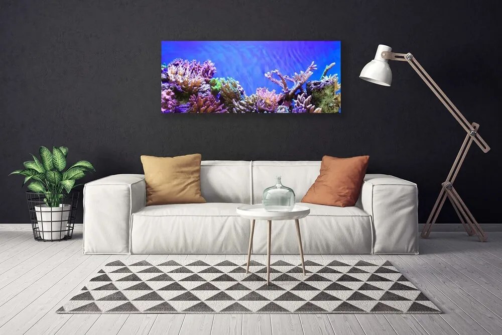 Tablou pe panza canvas Coral Reef Natura Multi