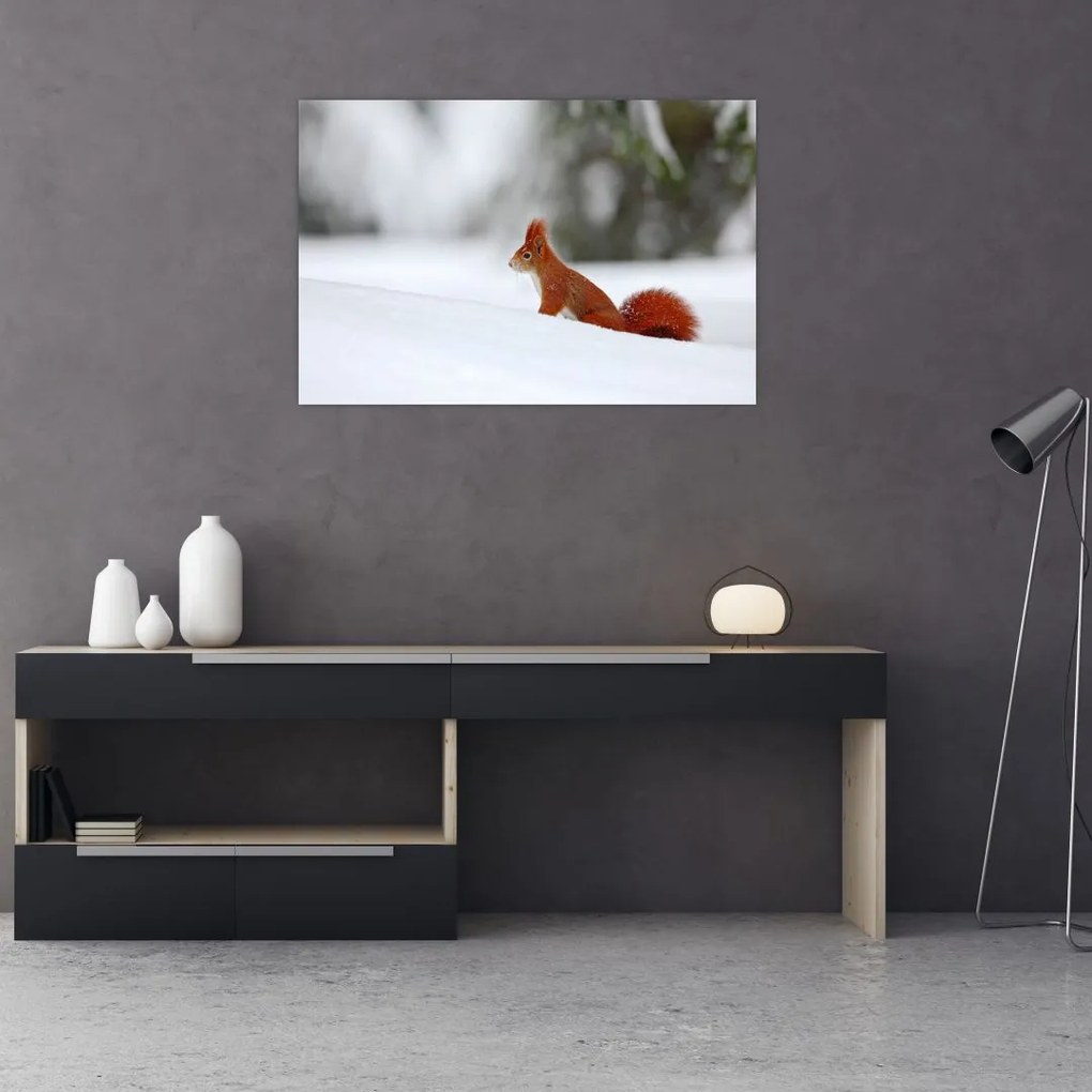 Tablou - Vevetițe (90x60 cm)