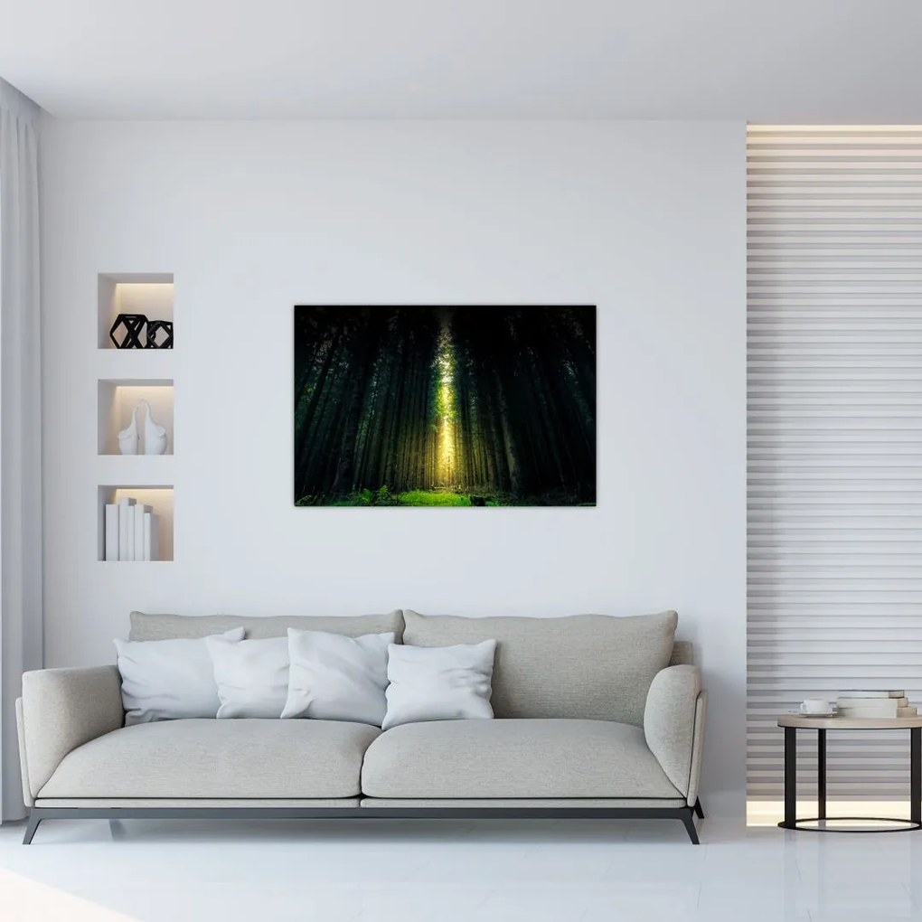 Tablou cu pădurea întunecată (90x60 cm)