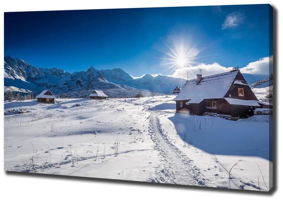 Tablou pe pânză Hale tatry
