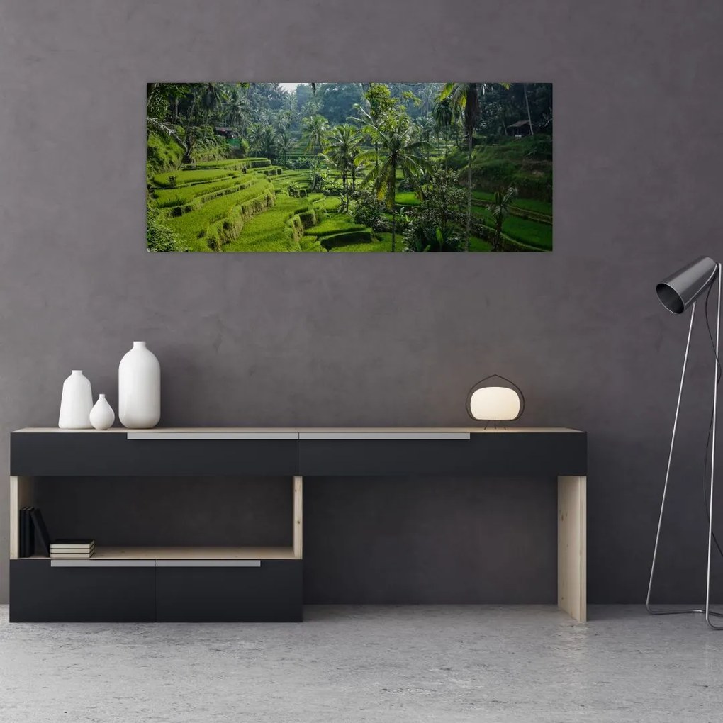 Tablou cu terasele cu orez Tegalalang, Bali (120x50 cm)