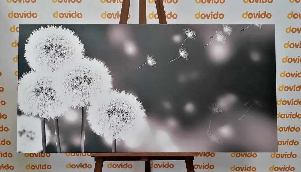 Tablou păpădie pufoasă în design alb-negru