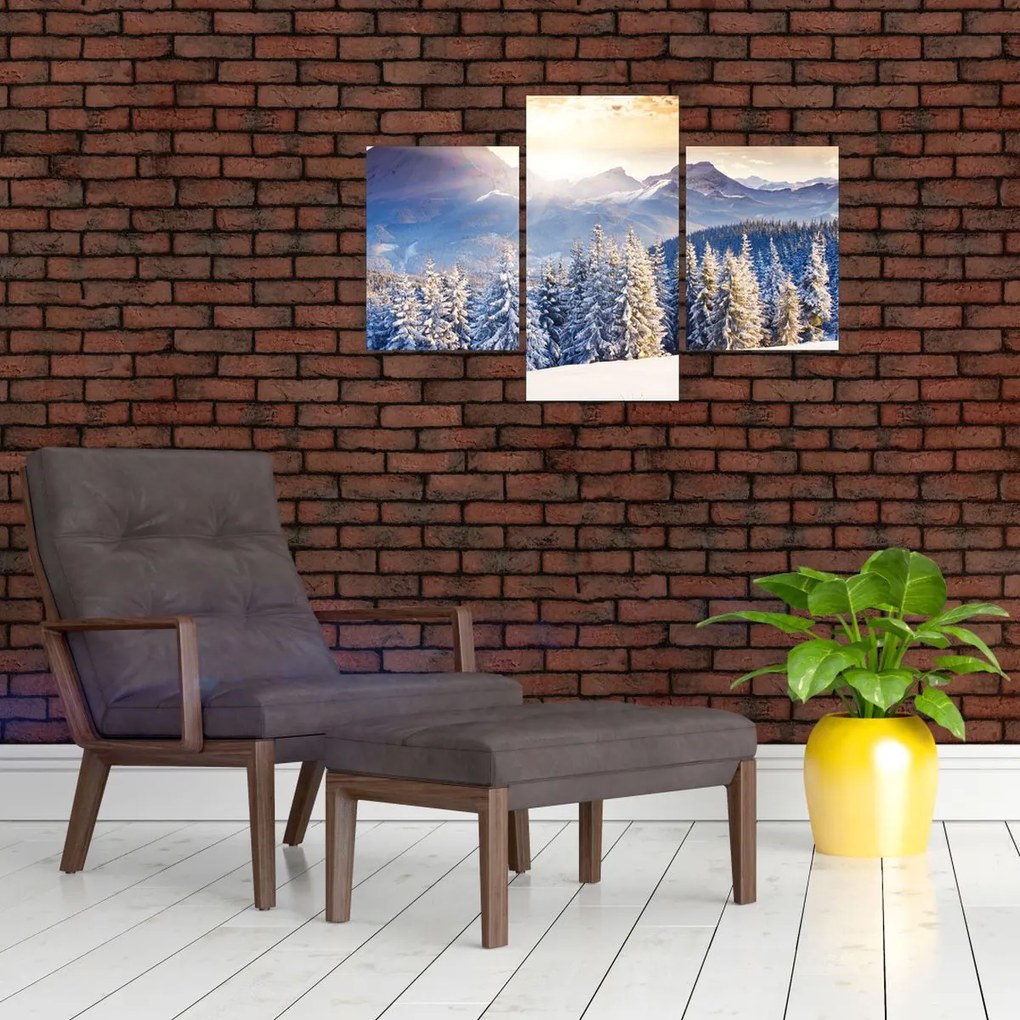Tablou - Peisaj montan în timpul iernii (90x60 cm)
