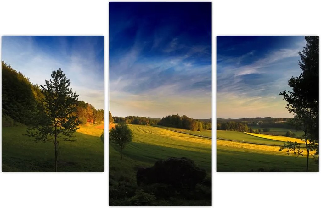 Tablou - Lunca de munte (90x60 cm)