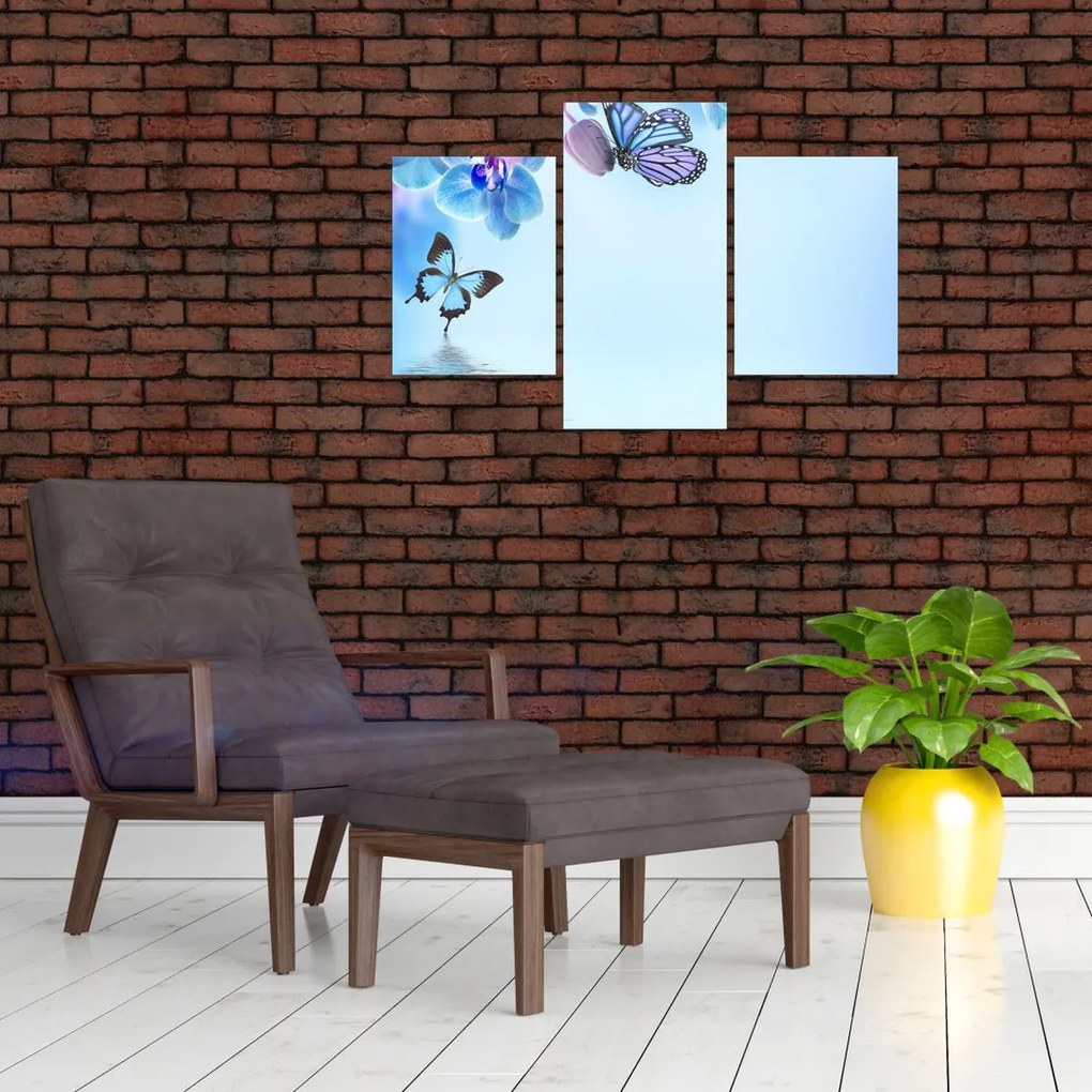 Tablou - Fluture pe flori de orhidee, albastru (90x60 cm)