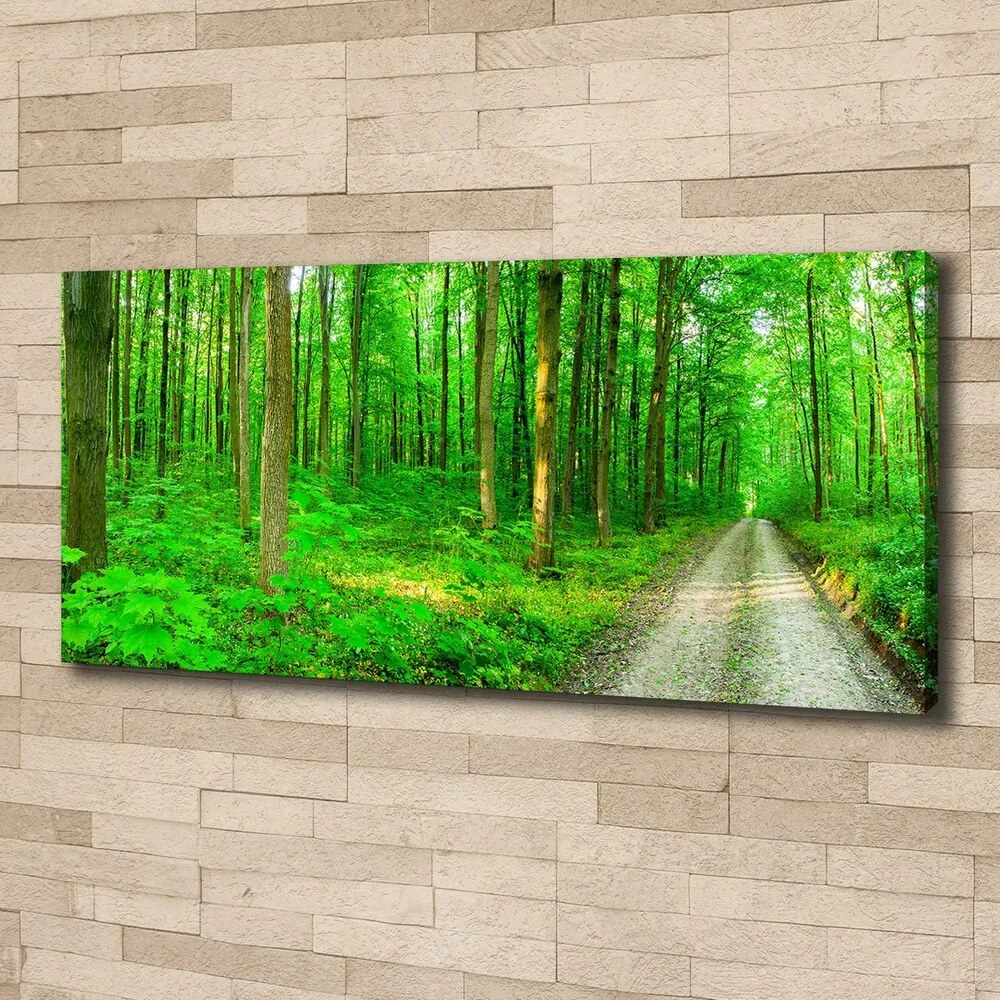 Imprimare tablou canvas Copaci în pădure