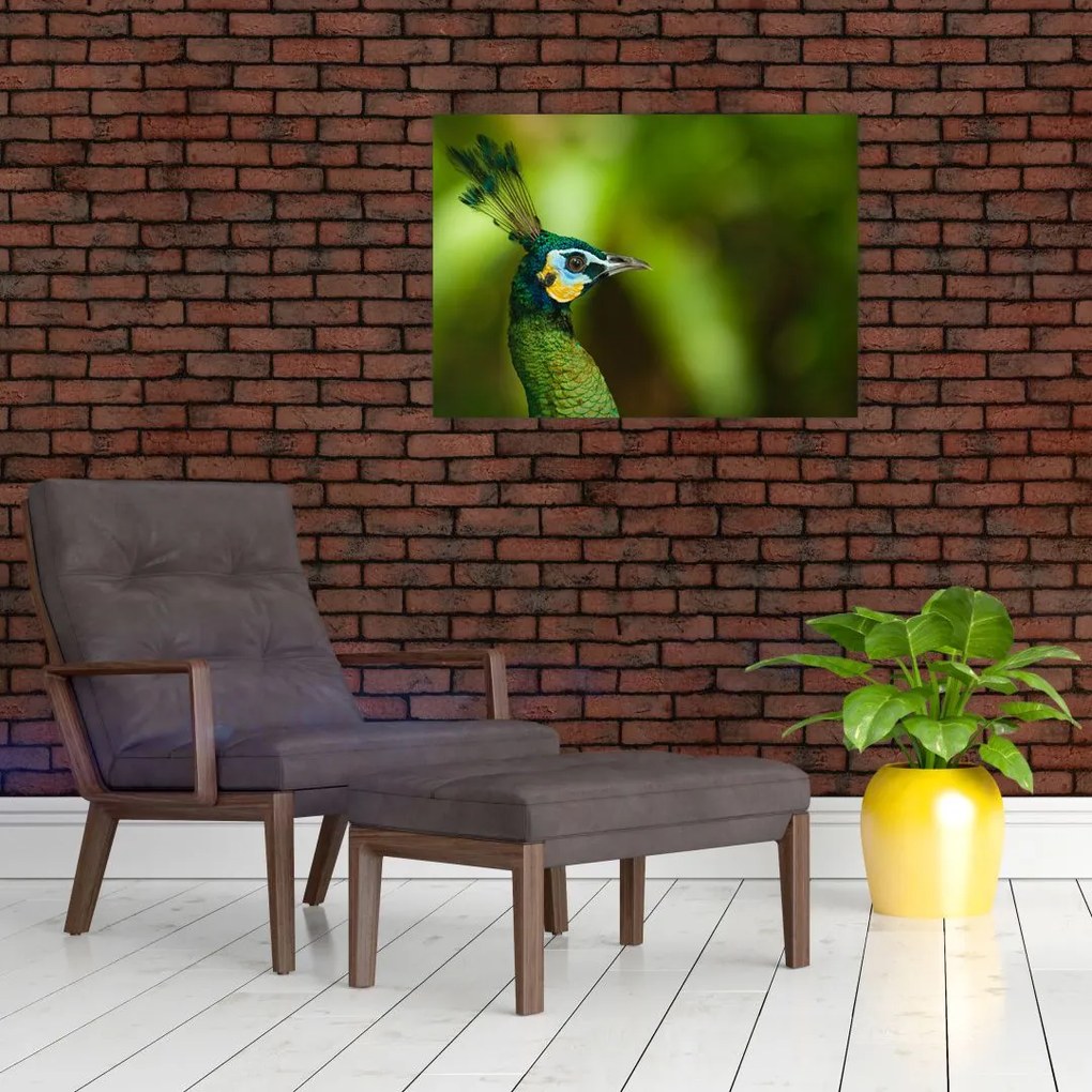 Tablou cu păun (70x50 cm)