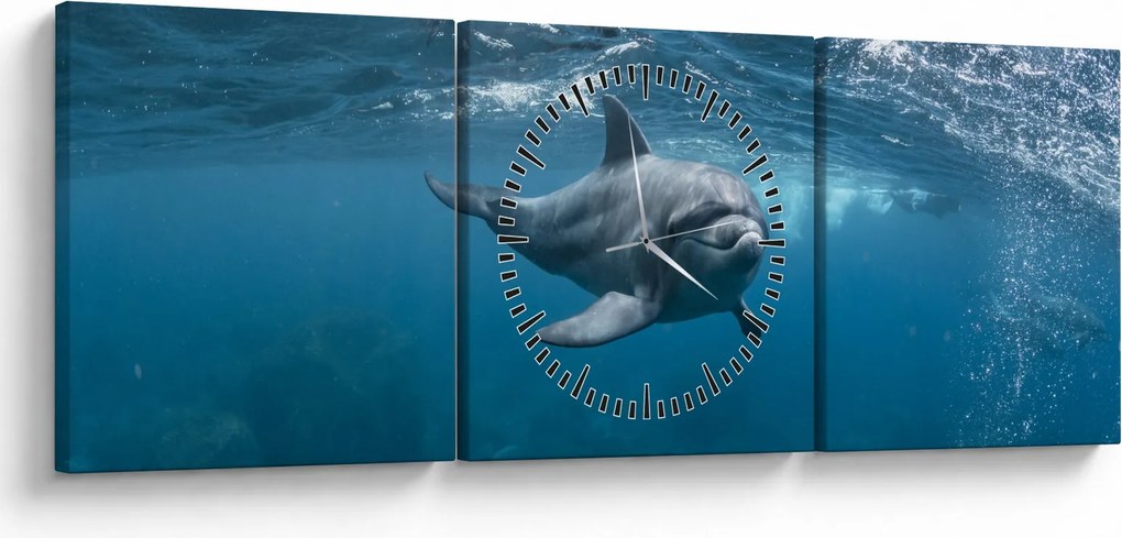 Tablou - Delfin sub apă (cu ceas) (90x30 cm)