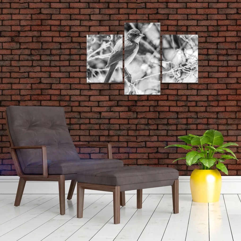 Tablou - Bluebird în timpul iernii (90x60 cm)