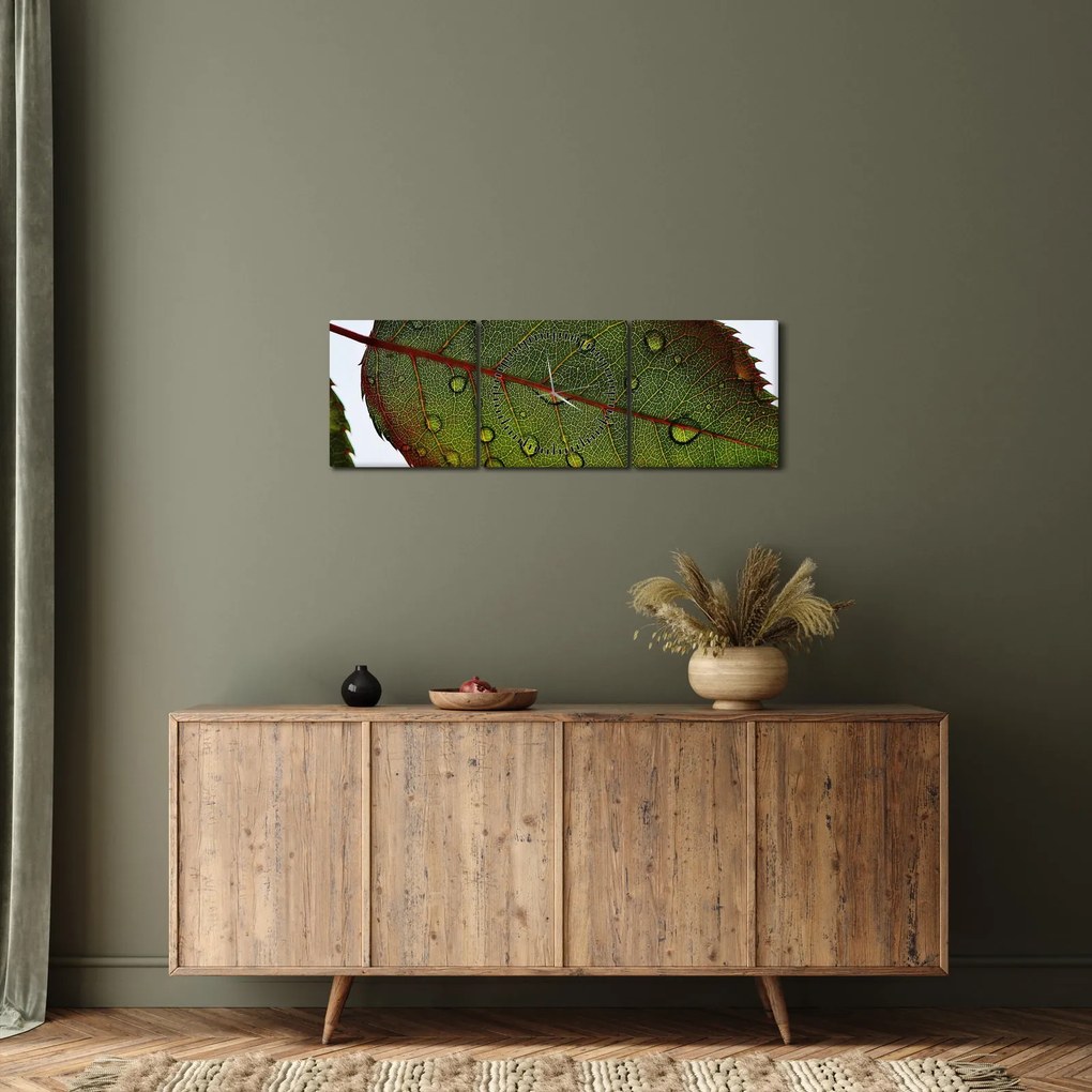 Tablou - Frunze de trandafir (cu ceas) (90x30 cm)