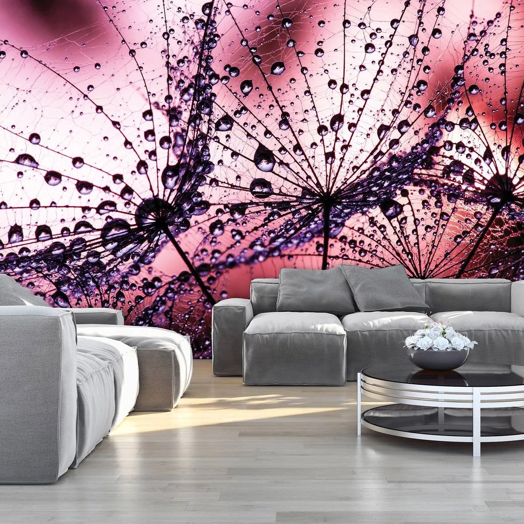 Fototapet - Păpădii - abstracte - violete (152,5x104 cm)