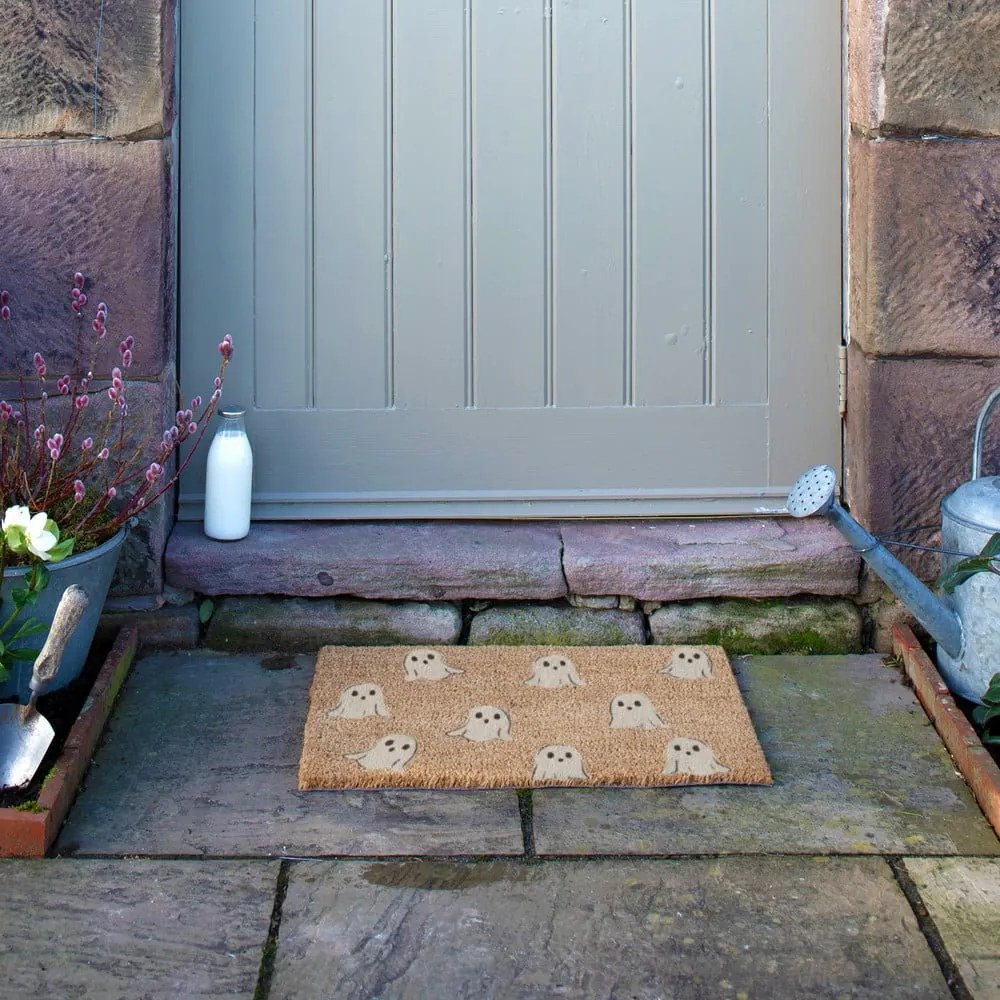 Covoraș de intrare din fibre de nucă de cocos 40x60 cm Ghost – Artsy Doormats