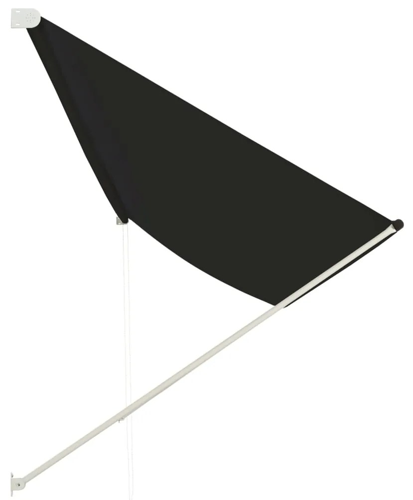 Copertina retractabila, antracit, 400 x 150 cm Antracit, 400 x 150 cm