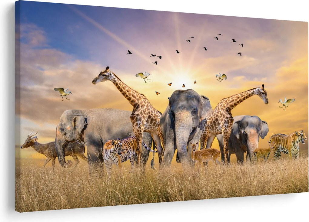 Tablou - Animae din Africa (90x60 cm)