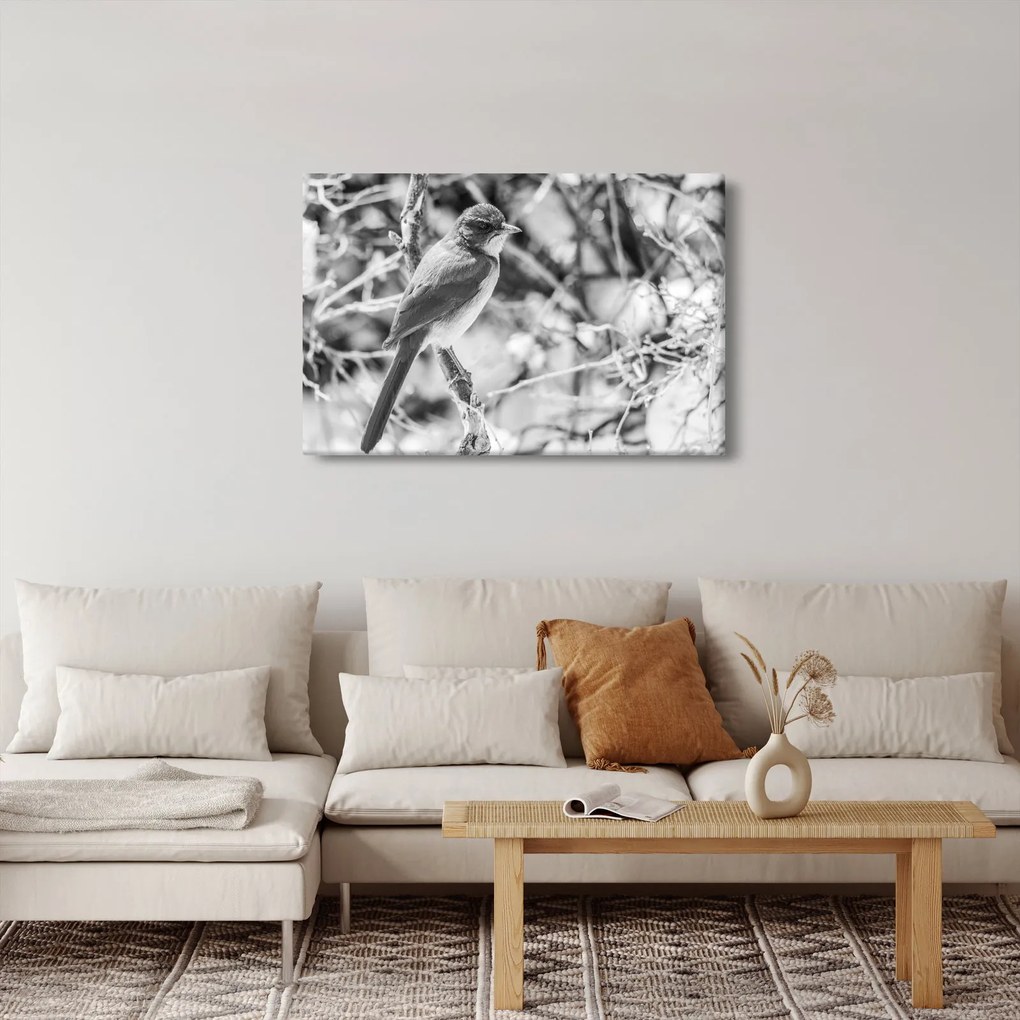 Tablou - Bluebird în timpul iernii (90x60 cm)