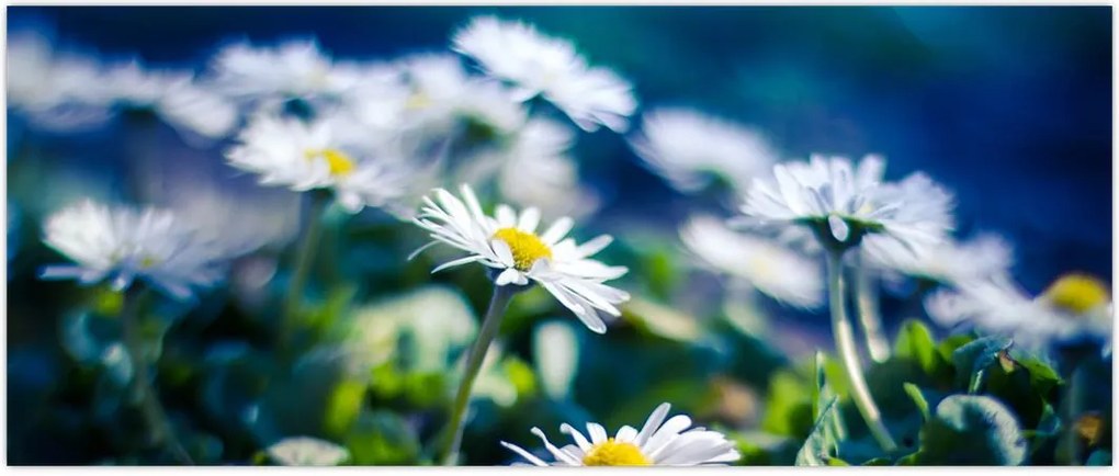 Tablou - Margarete (120x50 cm)