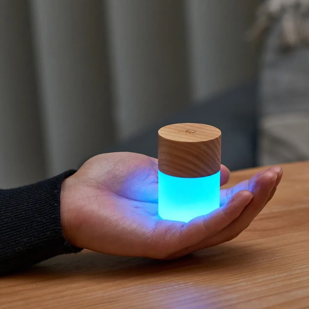 Decorațiune luminoasă în culoare naturală cu USB ø 4,5 cm Lemelia – Gingko