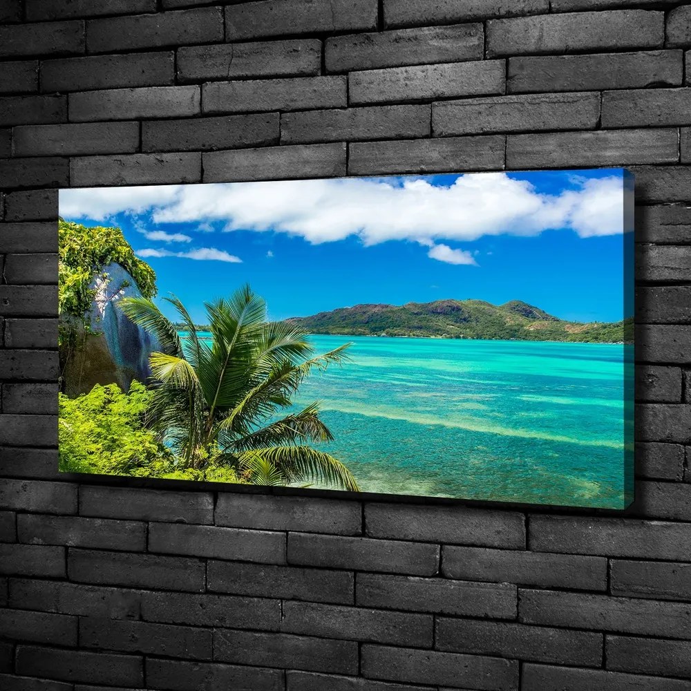 Tablou canvas Seychelles coast