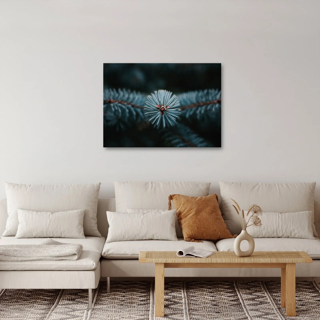 Tablou -Crenguțe ale unui conifer (70x50 cm)