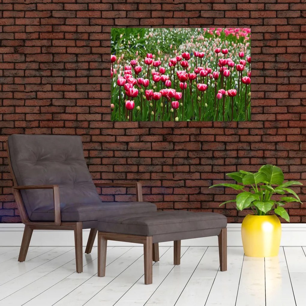 Tablou - Lalele (90x60 cm)