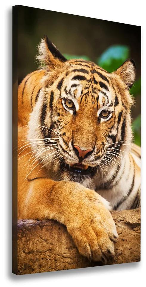 Pictură pe pânză Tigru bengalez