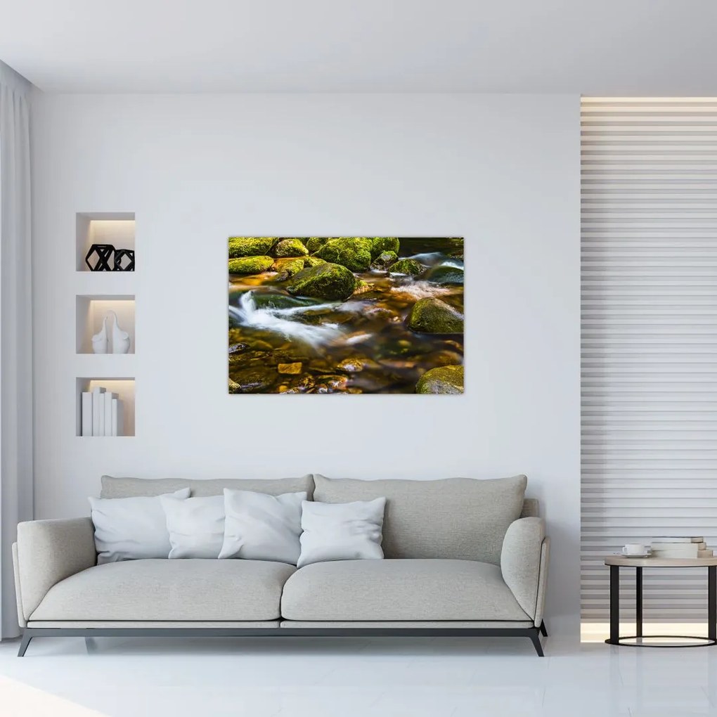 Tablou cu părâu (90x60 cm)