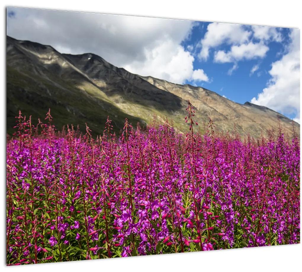 Tablou sceneriei cu lunca montană (70x50 cm), în 40 de alte dimensiuni noi