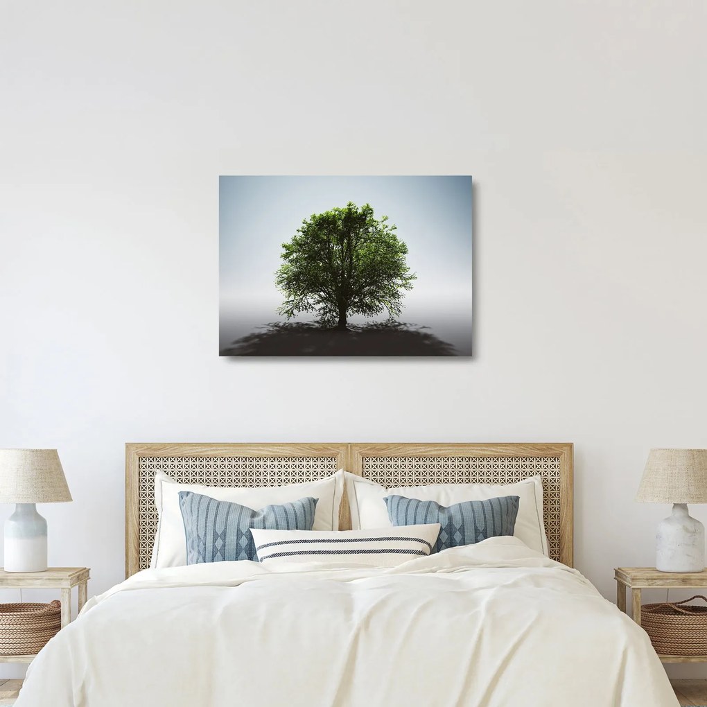 Tablou pe sticlă - Copacul singuratic (70x50 cm)