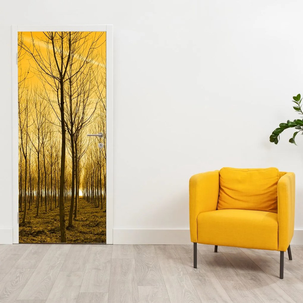 Fototapet pentru ușă - Pădurea la apus de soare (95x205cm)