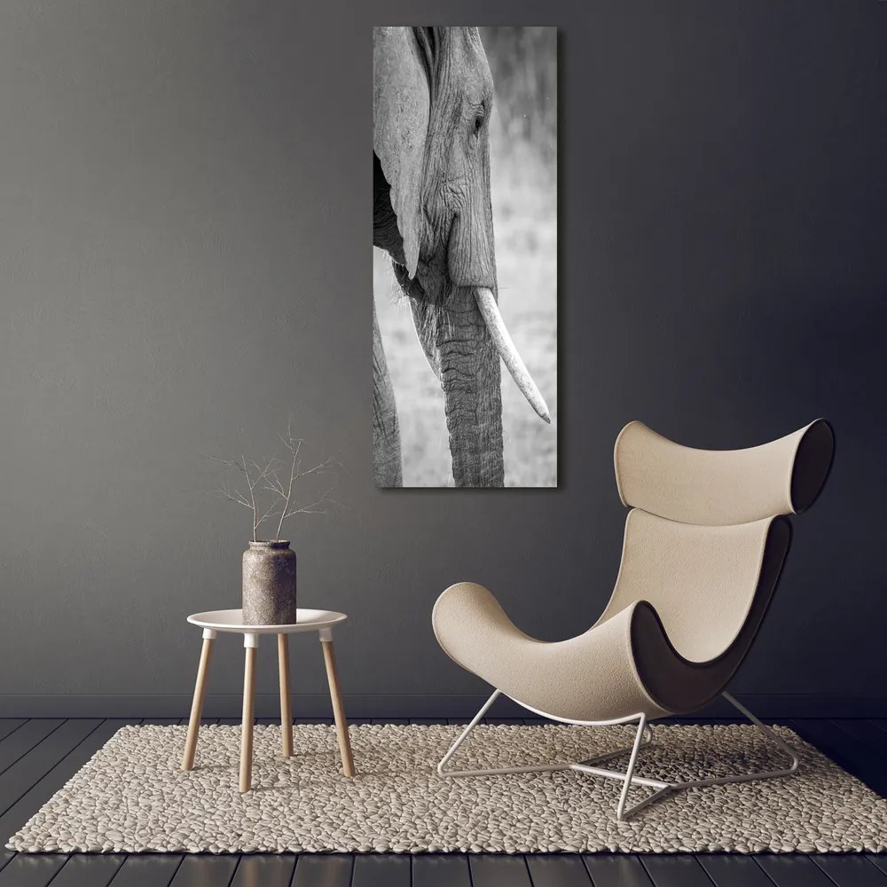 Tablou pe pânză canvas Elefant