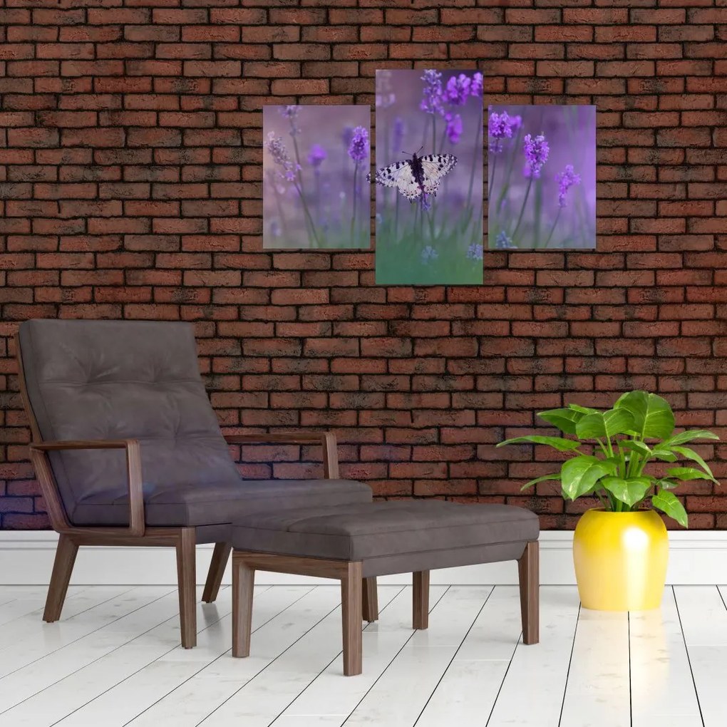 Tablou - fluture în lavandă (90x60 cm)