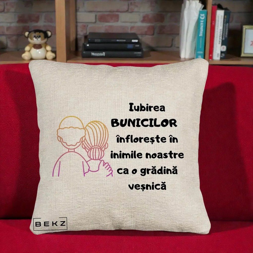 Cadou pentru Bunici - Perna Personalizata Iubirea Bunicilor Infloreste Cuplu Line Art Gradient, 40x40 cm, Bej Canapea, Husa Detasabila, Perna Inclusa, BEKZ®