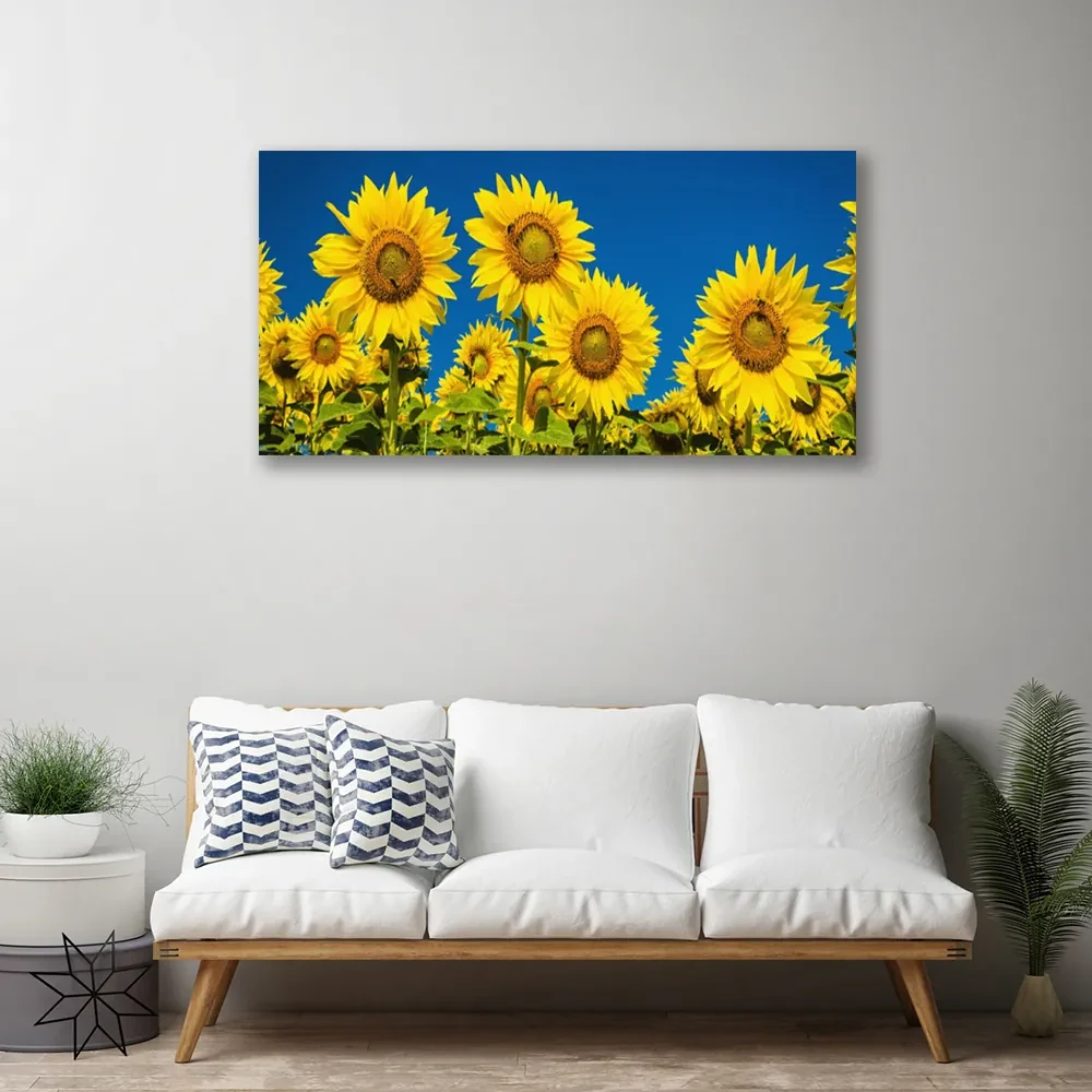 Tablou pe panza canvas Floarea soarelui Floral Galben Verde