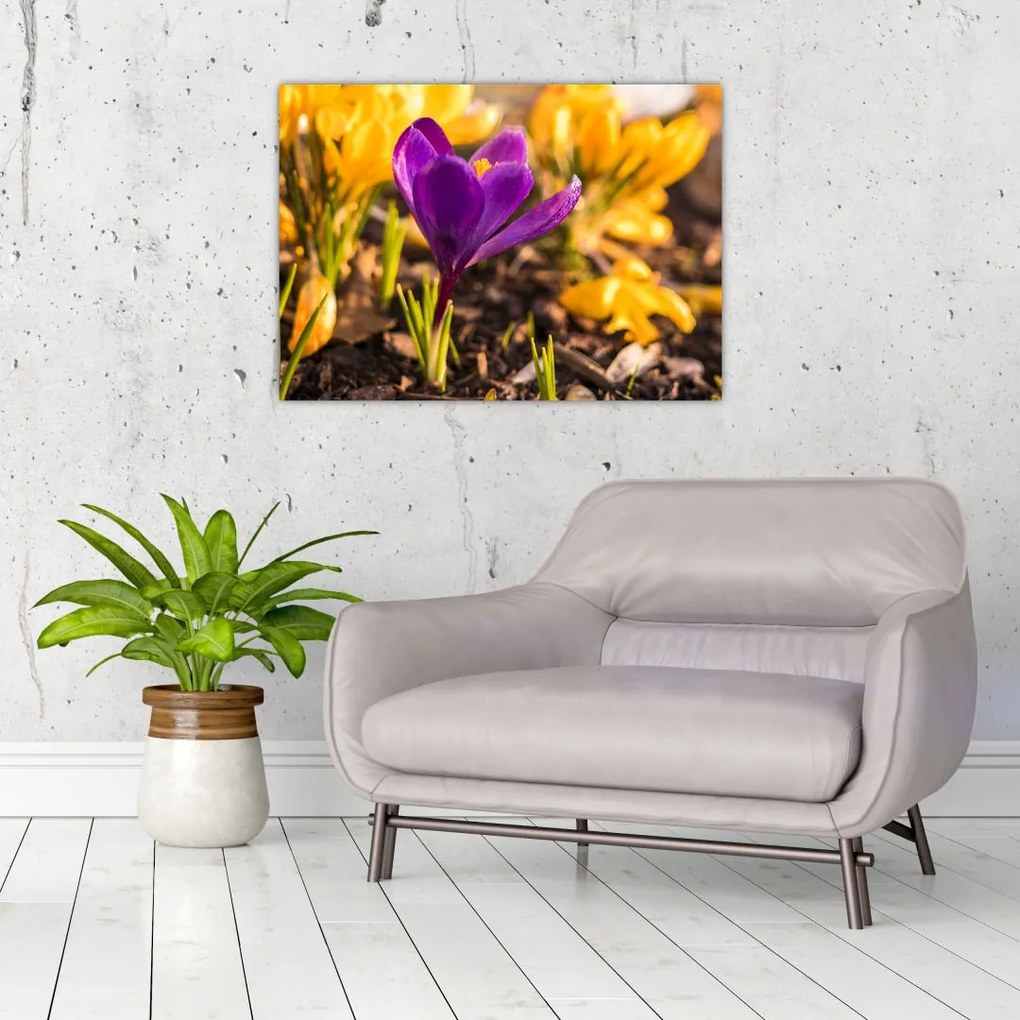 Tablou cu floare violetă (70x50 cm), în 40 de alte dimensiuni noi