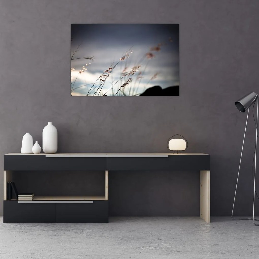 Tablou -Flori de luncă (90x60 cm)
