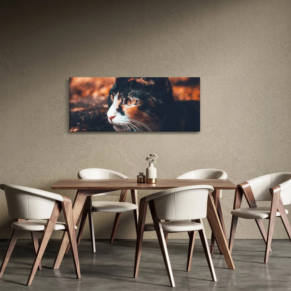 Tablou - Privirea pisicii (120x50 cm)