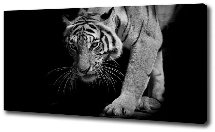 Tablou canvas Tigru