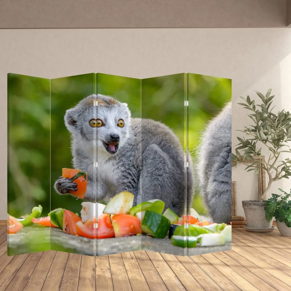 Paravan - Lemur (210x170 cm)