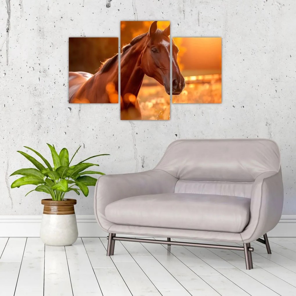 Tablou - Cal în apus de soare (90x60 cm)