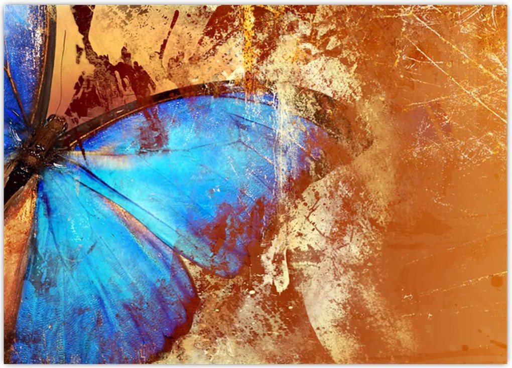 Tablou - Fluture albastru (70x50 cm)